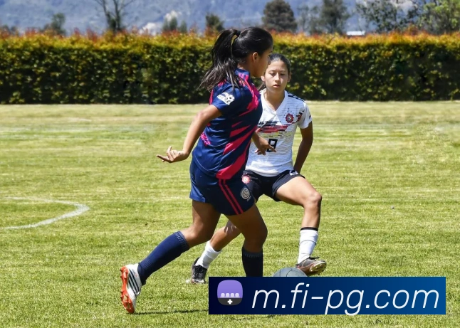 App Interface Preview